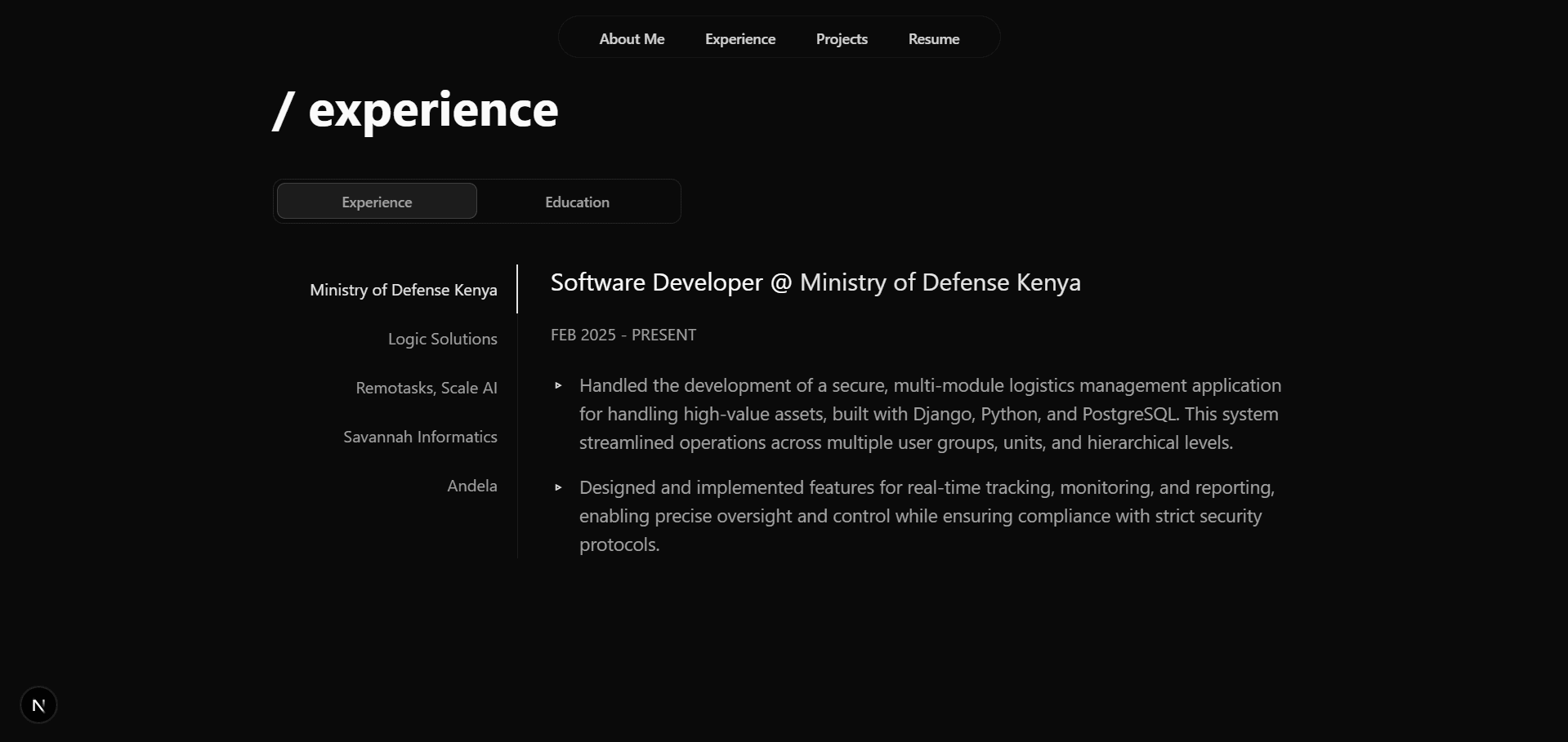 Experience Section